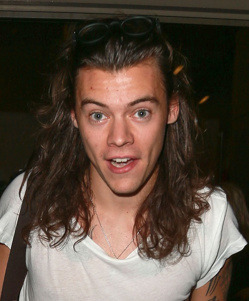 One Direction Fans Boycotting Harry Styles’ New Album – Love Songs About Kendall Jenner?