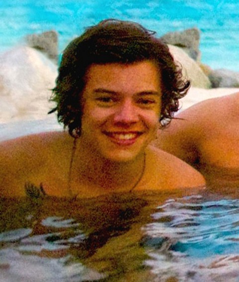 Harry Styles to Quit One Direction Following Zayn Malik’s Departure: Styles Plans Acting and Solo Music Career?
