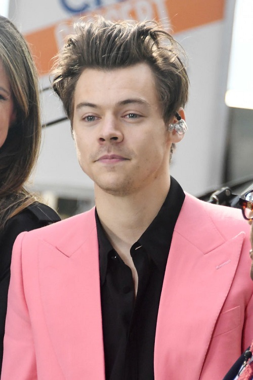 Harry Styles Humiliated: Dumped By Food Blogger Tess Ward
