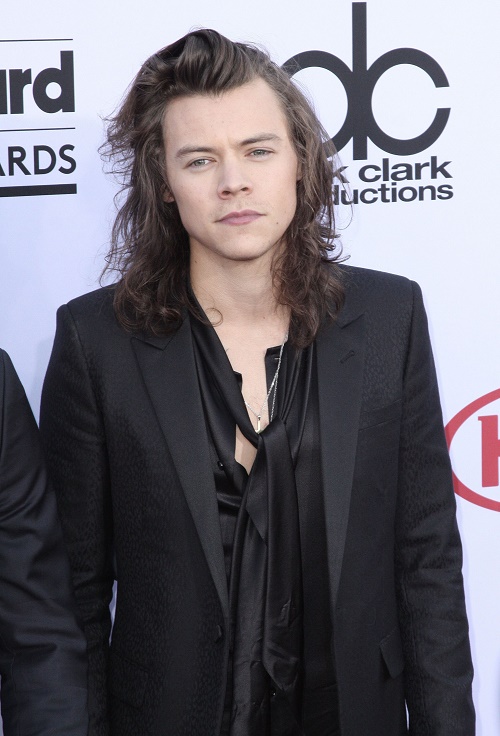 Harry Styles Sheep Placenta Chemical Peel: 1D Hottie Uses Luxurious Gold-Infused Treatments?