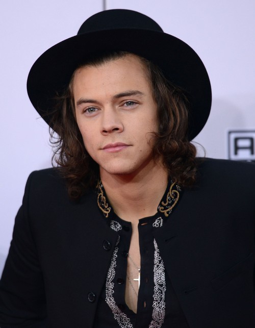 Taylor Swift and Harry Styles Go Public At American Music Awards – Couple Dating Again?