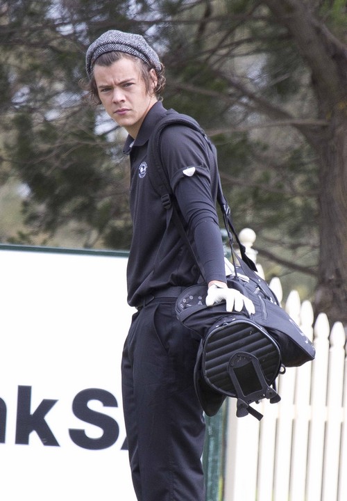 Harry Styles Trying To Hook Up With Jennifer Lawrence – Says She’s Way Hotter Than Taylor Swift (PHOTOS)