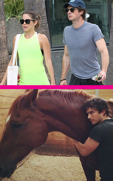 Ian Somerhalder and Nikki Reed Adopt A Horse Together: Relationship Taken To Next Level – Nina Dobrev Furious? (PHOTO)