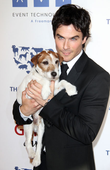 Vampire Diaries Ian Somerhalder Prepares to Strut