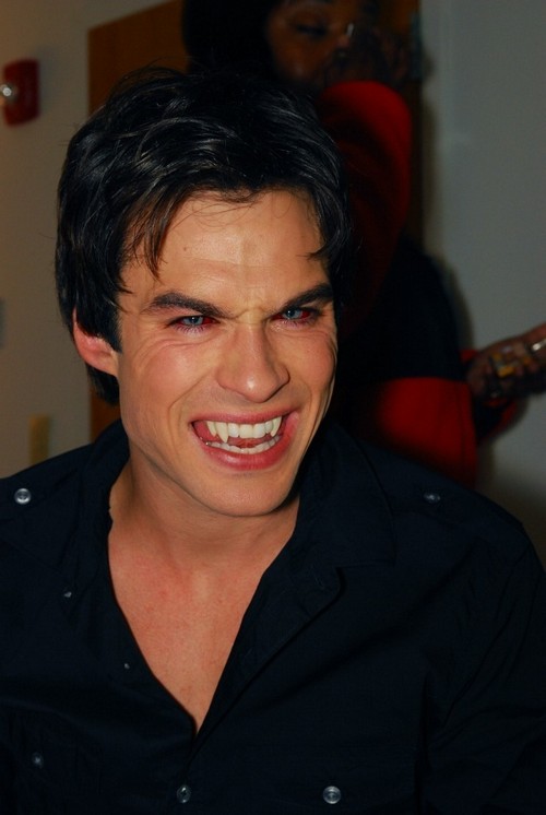 Ian Somerhalder’s Net Worth In Danger After ‘The Vampire Diaries’ Season 8 Ends
