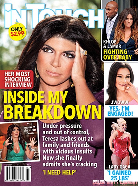 Teresa Giudice’s Mental Collapse Revealed