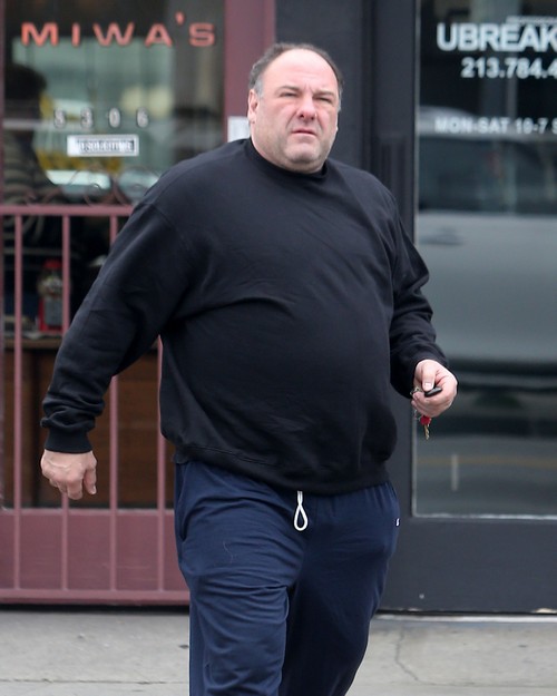 James Gandolfini: Drug and Alcohol Abuse Killed Him – Fatal Heart Attack After Heavy Drinking At Dinner