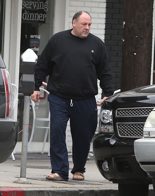 James Gandolfini’s Death at 51 Destroys “The Sopranos Movie” Hopes – Who Can Play Tony Soprano?