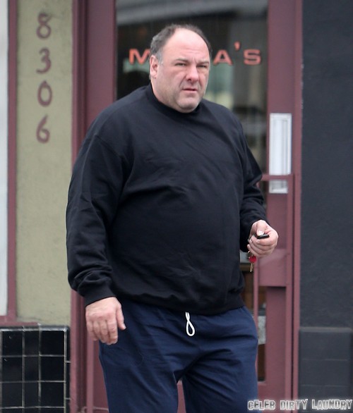 James Gandolfini’s Cocaine and Alcohol Rehab History – What Part Did Drugs Play In His Sudden Death?