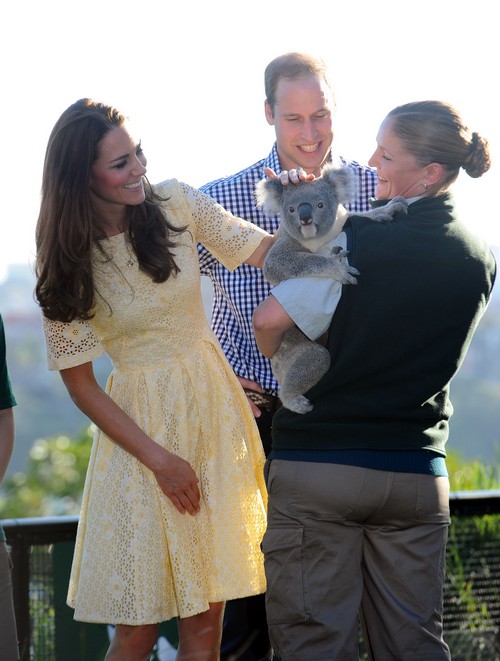 Kate Middleton Split Up Prince Harry and Cressida Bonas: Prince William and Brother Fighting?