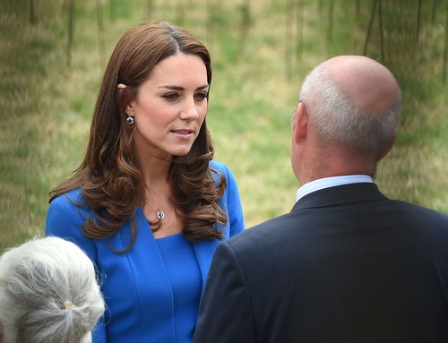 Pregnant Kate Middleton Feeling Fine: Morning Sickness Gone, But Baby Bump Weight Gain Keeps Vain Princess in Hiding