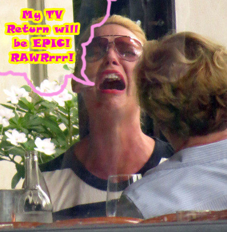 Katherine Heigl Makes Her Return To Television: Will She Come Back Shining or Crash and Burn?