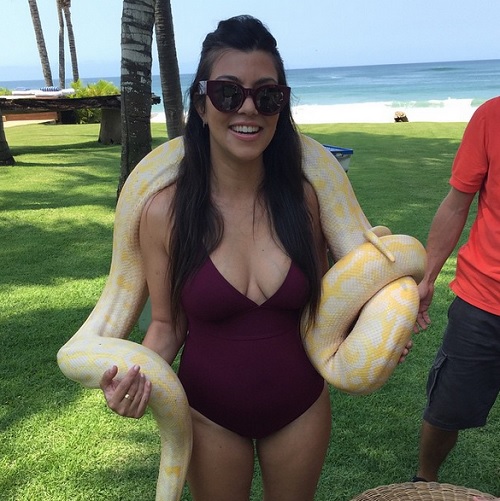 Kourtney Kardashian Snake Pic Reveals More Of Her Hot Post-Baby Body In Mexico (PHOTO)