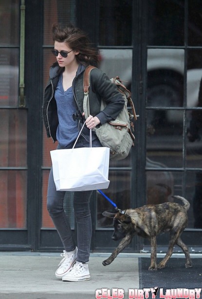 Robert Pattinson & Kristen Stewart Admit To Adopting A Dog – But Will They Ever Admit to A Relationship?