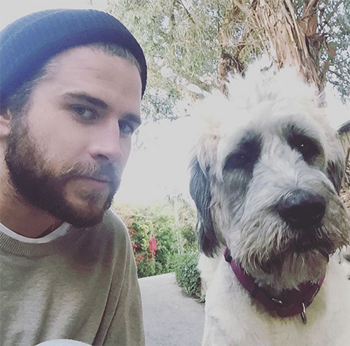 Liam Hemsworth And Miley Cyrus Not Engaged: Liam Reveals Truth In Interview, Couple’s Second Breakup Looms?