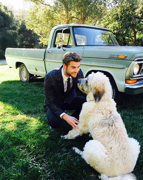 Is Miley Cyrus Pregnant: Liam Hemsworth’s Fiancee Thinks A Baby Will Save Engagement