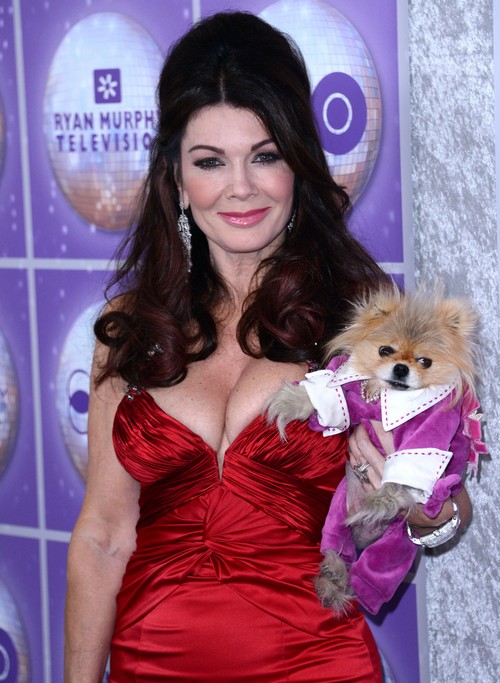Brandi Glanville’s ‘Make-A-Wish’ Efforts Slammed by Hypocrite Lisa Vanderpump Slams?