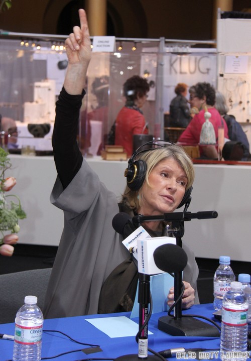 Martha Stewart’s Sexting, Threesome, and One Night Stand Exploits Revealed – GILF or GOOF? (VIDEO)