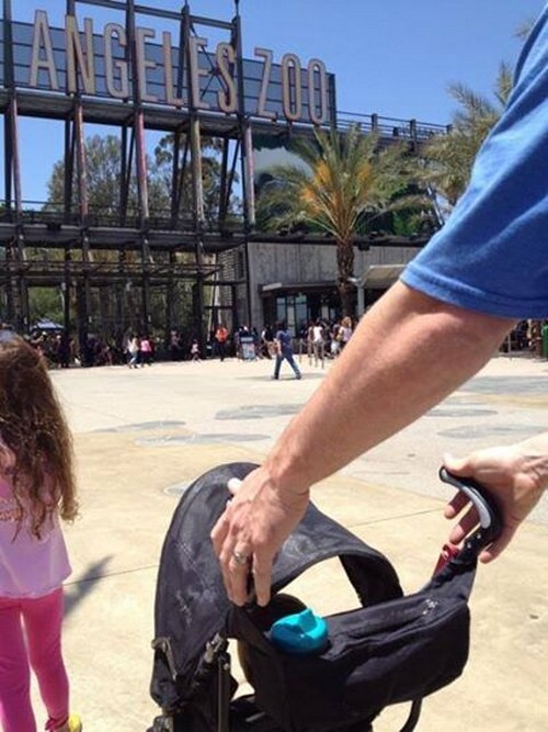The Young and the Restless Spoilers: Does Michael Muhney Twitter Hands Photo Hint at Return or Mock Jill Farren Phelps?