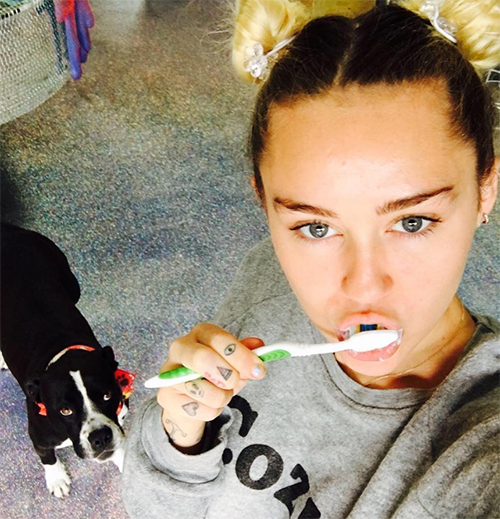 Miley Cyrus Destroys Liam Hemsworth’s Family Members: Spreads Lies About Chris Hemsworth’s Infidelity?
