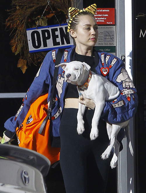 Miley Cyrus and Jared Leto Romance? Rumors Heat Up About Casual Hookup