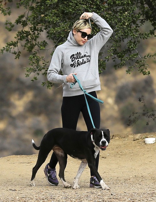 Miley Cyrus Pulls Film From NYC Porn Festival – Forced By Boyfriend Patrick Schwarzenegger?
