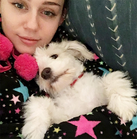 Liam Hemsworth Joins Miley Cyrus For Christmas: Plans To Propose In Front Of Miley’s Family, Make Romance Official?