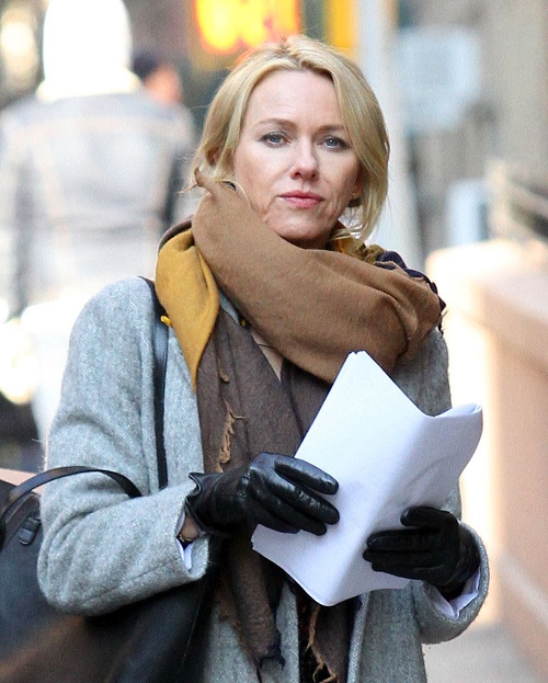 Naomi Watts Finds Love Again: Dating Liam Neeson After Liev Schreiber Split?