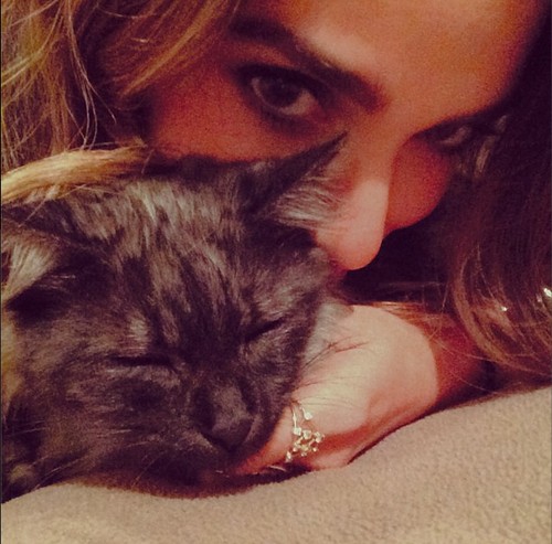 Ian Somerhalder, Nina Dobrev Getting Too Close on The Vampire Diaires: Nikki Reed Jealous and Insecure of Elena and Damon – Adopts Kitten