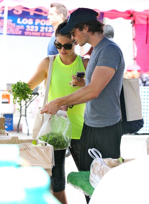 Nina Dobrev Attacks Ian Somerhalder and Nikki Reed Dating on Instagram