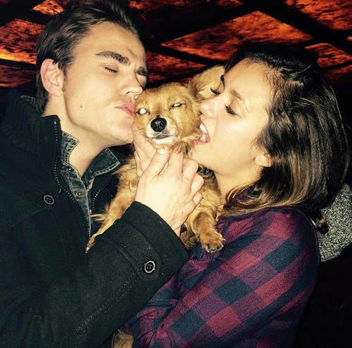 Ian Somerhalder Crazy Jealous Over Nina Dobrev’s Secret Boyfriend: Vampire Diaries Star Wants Nina Back?