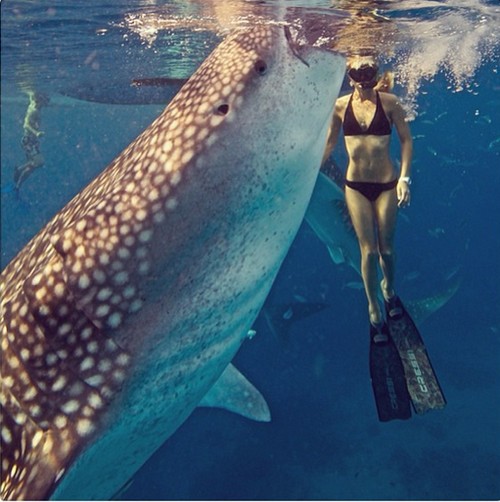Ian Somerhalder’s New Girlfriend Ocean Ramsey – Gives Up On Nina Dobrev?