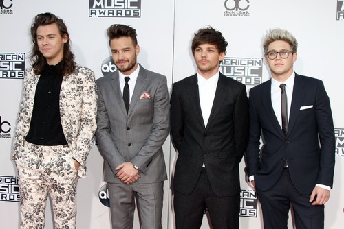 One Direction Permanent Split: 1D Harry Styles, Niall Horan, Louis Tomlinson and Liam Payne Going Solo