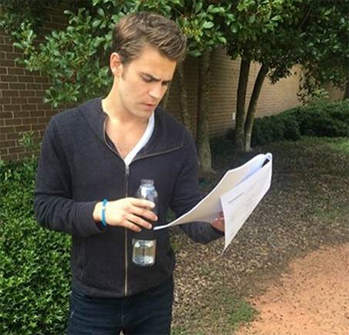 Paul Wesley And Phoebe Tonkin Breakup, ‘The Vampire Diaries’ Season 8 Drama Strains Relationship?