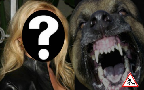 The Young and the Restless Spoilers: Soap Star Suing After Vicious On-Set Dog Attack