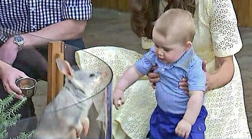 Kate Middleton Impresses Queen Elizabeth While Camilla Parker-Bowles Fails: NEW PRINCE GEORGE AUSTRALIAN EASTER PHOTOS