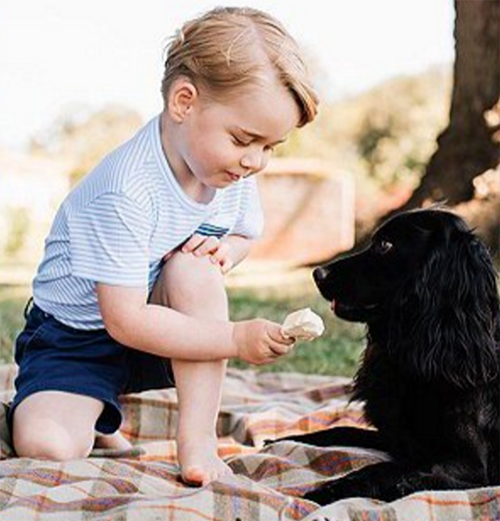 Kate Middleton Uproar: Prince George Feeds Lupo Ice Cream – Causes Animal Cruelty Accusations
