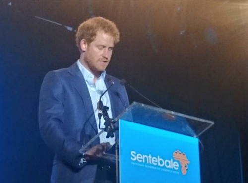 Prince Harry Follows In Princess Diana’s Footsteps With Sentebale AIDS Charity Concert: Camilla Parker-Bowles Absent