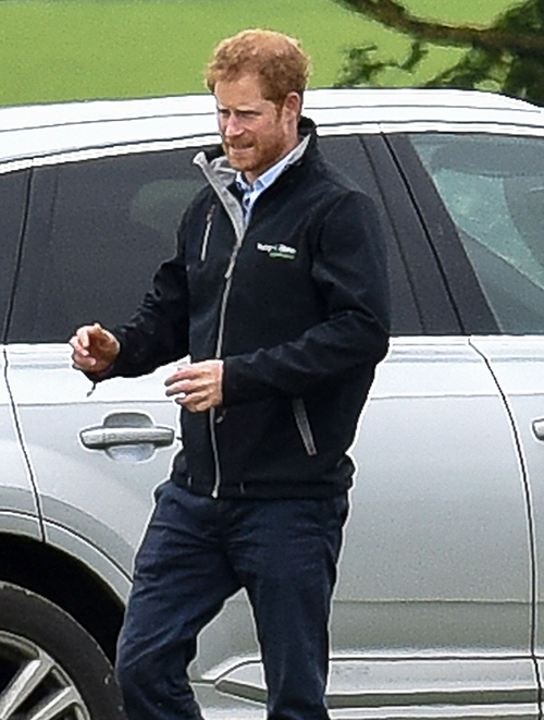Prince Harry Shares Flirty Texts With Margot Robbie: Her Boyfriend Tom Ackerly Consumed By Jealousy, Hates The British Royal?