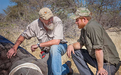 Prince Harry New Patron Of ‘Rhinos Botswana’ – More Royal Duties Following Meghan Markle Romance To Appease Queen Elizabeth?