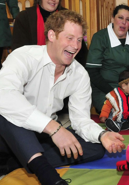 Kate Middleton Getting Prince Harry A Labrador Dog For Christmas
