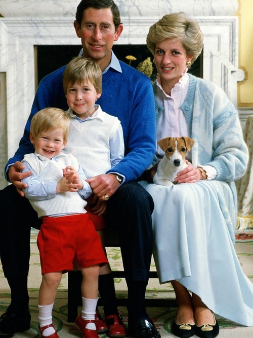 Kate Middleton and Prince William Want Revenge For Princess Diana’s Murder