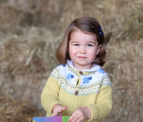 Prince William And Kate Middleton Appalled: Online Bullies Target Princess Charlotte’s Birthday Photo