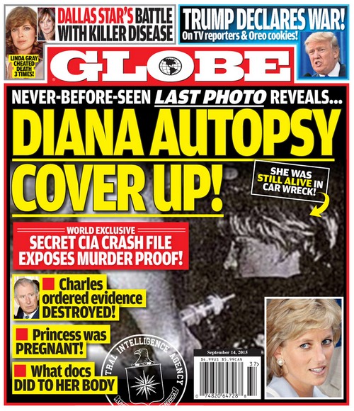 Princess Diana Pregnant and Murdered After Car Wreck – Alleged Autopsy Cover Up?