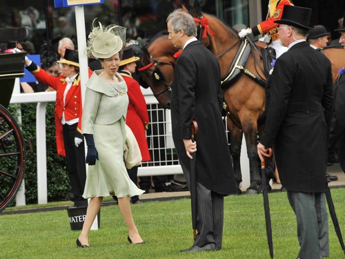 Princess Anne Advocates Horse Meat As Food: Sparks Royal Controversy