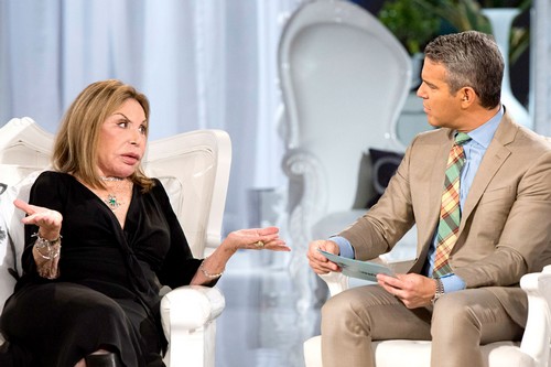 The Real Housewives of Miami Season 2 Episode 17 Recap 01/03/13