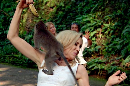 The Real Housewives of Orange County Recap 8/11/14: Season 9 Episode 17 “Eat, Pray, Run”