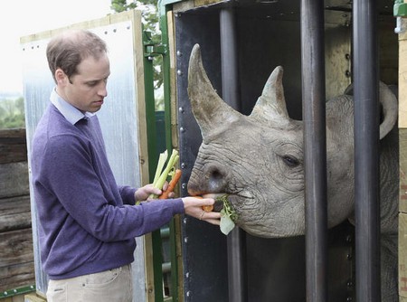 Kate Middleton Calls Camilla Parker-Bowles A Wrinkly Old Rhino