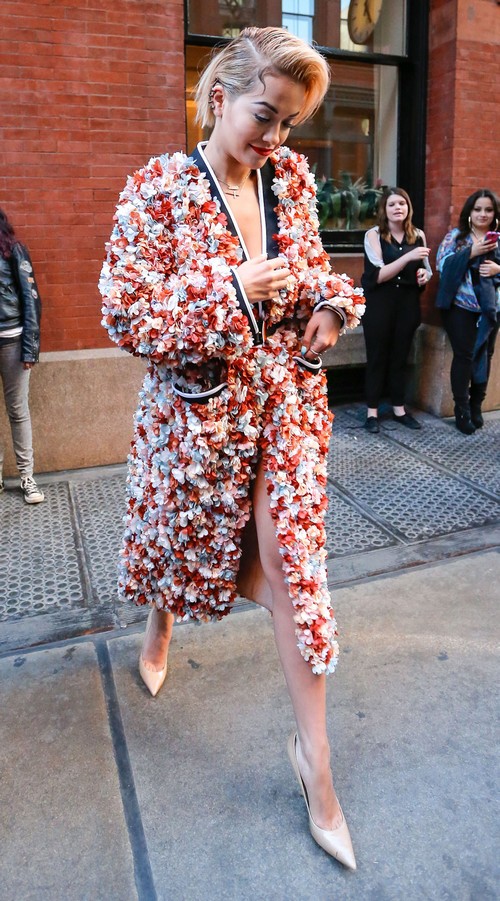 Did Rita Ora and Jay-Z Hook Up – Did They Cheat On Beyonce? (PHOTOS)