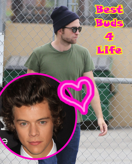 Robert Pattinson and Harry Styles Spotted Drinking Together: New Buddies Commiserate Over Awful Ex Girlfriends Kristen Stewart and Taylor Swift